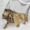 Aureus Lion